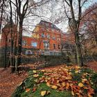 zdjęcie nr 8