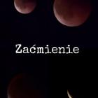 zdjęcie nr 33