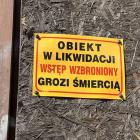 zdjęcie nr 31