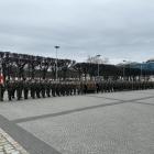 Fotka nr 4 z 41