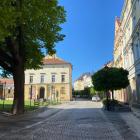 zdjęcie nr 16