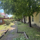zdjęcie nr 61
