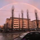 zdjęcie nr 22