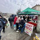 zdjęcie nr 11