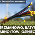 zdjęcie nr 10