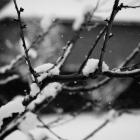  fot. Pexels 

  
 STYCZEŃ  

  Dni wolne od pracy:  

 1 stycznia (środa) - Nowy Rok...