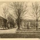 zdjęcie nr 21