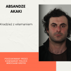 zdjęcie nr 7