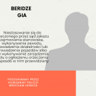 zdjęcie nr 37