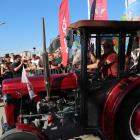 zdjęcie nr 70