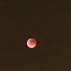 zdjęcie nr 72