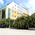 zdjęcie nr 9