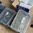 mat. Policja Dolnośląska 