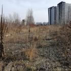 Tutaj ma powstać Park Henrykowski / fot. PM Projekt, ZZM Wrocław