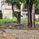 Fot. Krystian Kosztyła burmistrz Ścinawy 