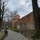 zdjęcie nr 33