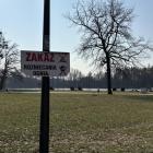 zdjęcie nr 22