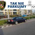 zdjęcie nr 21