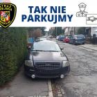 zdjęcie nr 19