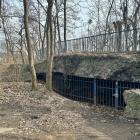 zdjęcie nr 7