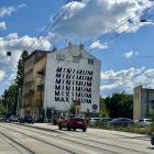 Fotka nr 5 z 14