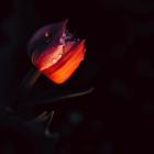 fot. Jakub Bieniek