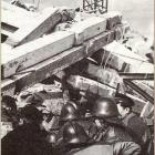 Fotka nr 5 z 18