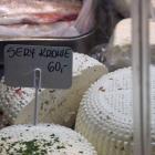 zdjęcie nr 19