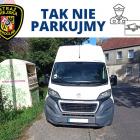 zdjęcie nr 17