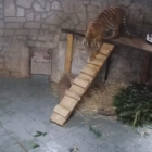fot. zoo screen