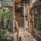 fot. Zoo Wrocław