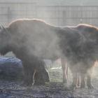   ZOO Lubin  -&nbsp;Szukasz pomysłu na&nbsp;wyjazd za miasto? To idealna propozycja -...