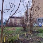 zdjęcie nr 8