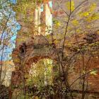 fot. Katarzyna Suchecka