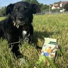  Nagroda podczas treningu &ndash; Green Petfood Loopies dla psa 
