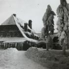 zdjęcie nr 21