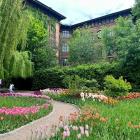 fot. Ania Wierzchowska 

  Ogr&oacute;d Botaniczny Uniwersytetu Wrocławskiego -&nbsp;...