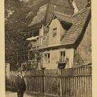 zdjęcie nr 9