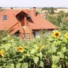zdjęcie nr 8