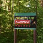 zdjęcie nr 13