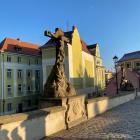 zdjęcie nr 66