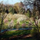 fot. Arboretum Wojsławice