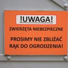 zdjęcie nr 9