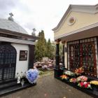 zdjęcie nr 69