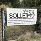 zdjęcie nr 14