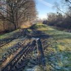 Tak wyglądają wały nad Odrą w powiecie oławskim | fot. Wody Polskie