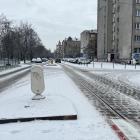 zdjęcie nr 14
