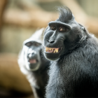 Fotka nr 1 z 6