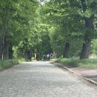 zdjęcie nr 13