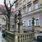 zdjęcie nr 30